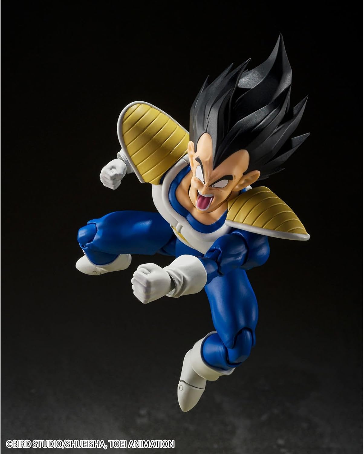 S.H.Figuarts Vegeta 24000 Combat Power