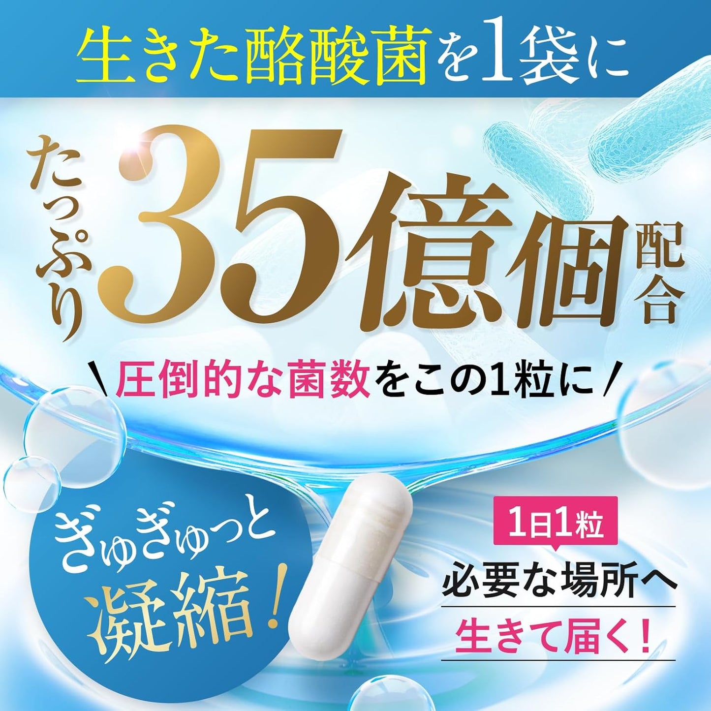 BACRIA Butyric Acid Bacteria (3.5 Billion Live Butyric Acid Bacteria), Lactobacilli, Bifidobacteria, Fructooligosaccharides, Digestible Dextrin, Reach Live, Acid-resistant Capsules, Bacterial Activity