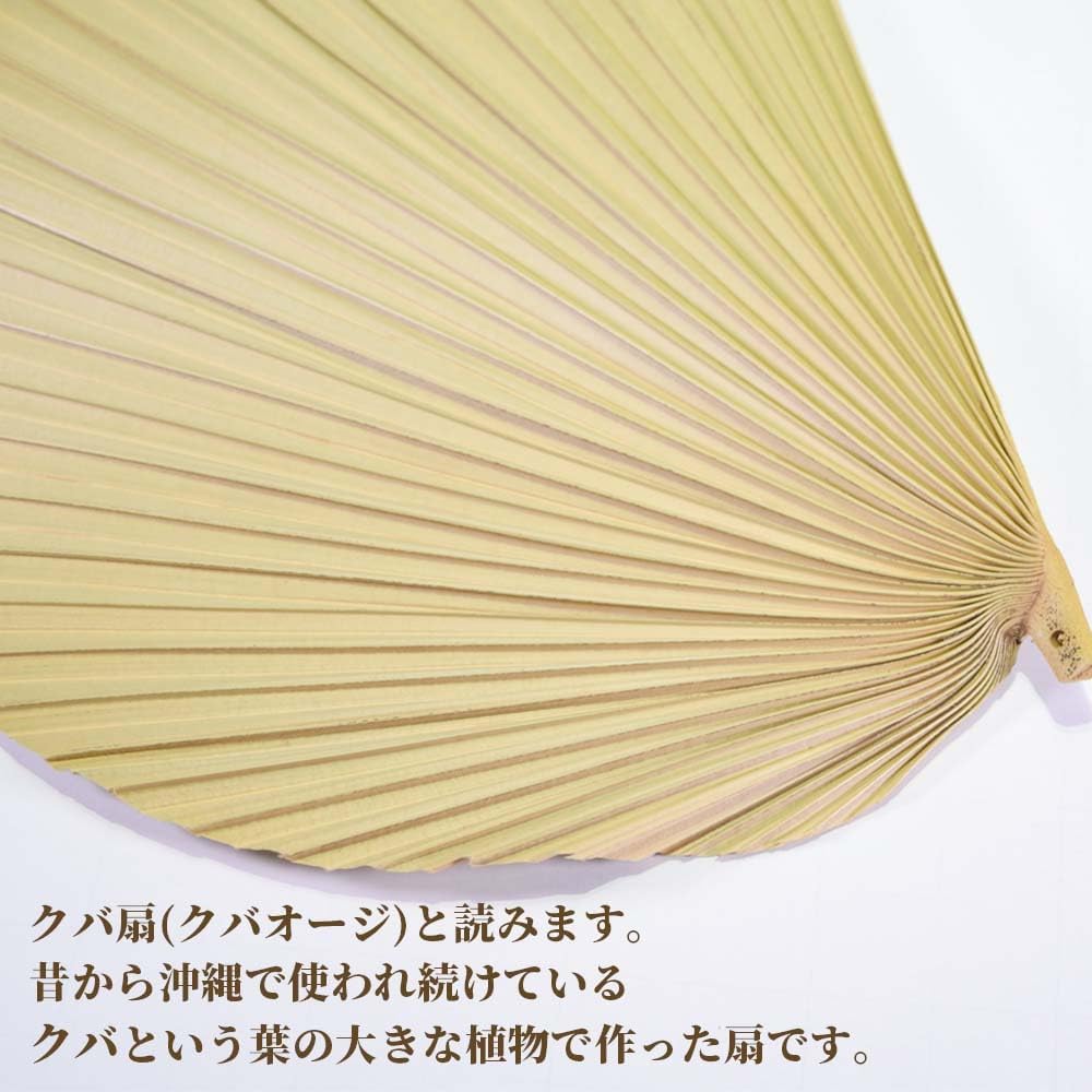 Kubakasaya Fan, Kuba Fan, Traditional Crafts, Folk Art, Okinawa, Ryukyu, Okinawa Souvenir, Souvenir, Large