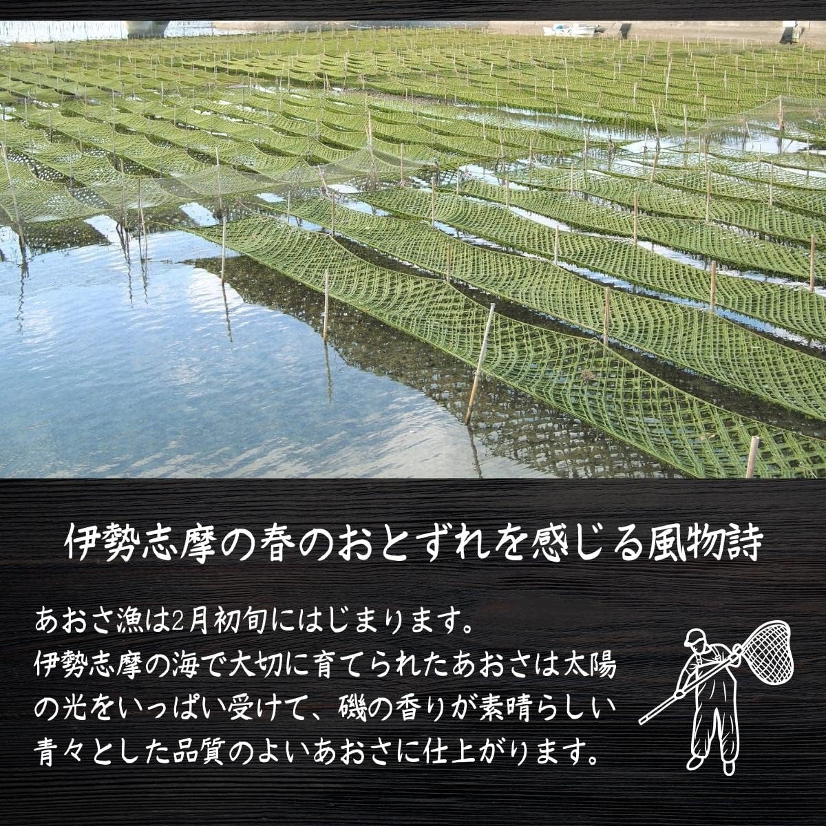 Seaweed Honpo Aosa, Made in Ise Shima, Japan, Mie Prefecture, 1.8 oz (50 g), 1 Bag | Aosari from Ise Shima, Made in Japan, Mie Prefecture,