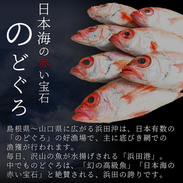 Sanin Dried Fish Set, Dried Fish Set, Carefully Selected Overnight Dried in Shimane and Hamada Port (5 Types of Dried Fish) (5 Types of Dried Fish) Additive-Free Dried Fish Gift