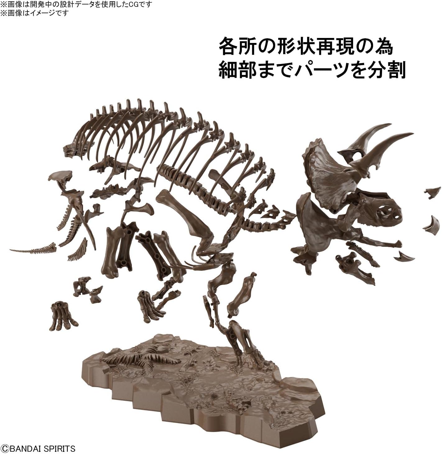 Bandai Spirits (バンダイ スピリッツ) Imaginary Skeleton Triceratops 1/32 Scale Plastic Model
