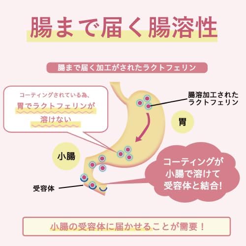 Gineko Official Lunarism, Lactoferrin, Enteric Soluble, Doctor Recommended, Clinic Treatment, Pregnancy Supplement, Lactoferrin, Lactic Acid Bacteria, Oligosaccharide, Supports Women's Health, Also