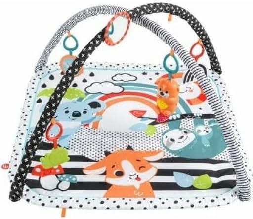 Fisher Price HBP41 "Let's Cultivate Your Feeling!" Sea Otter Waku Musical Gym [Birth (0 Months)]