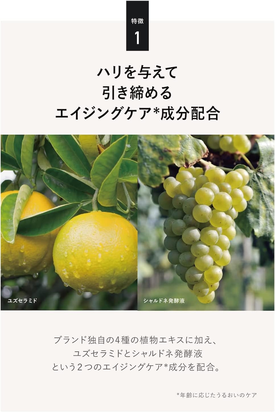 Quattro Botanico Men's Lotion, All-in-One Botanical Oil Control & Skin Conditioner, Refreshing Type, For Oily Skin, For Men Lotion, Shiny, Sticky, Oily Skin, Men's Cosmetics, Skin Care, 5.3 fl oz (150