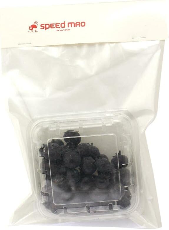 Speed mao Realistic Blueberry Big Small Sample Food Model Pack