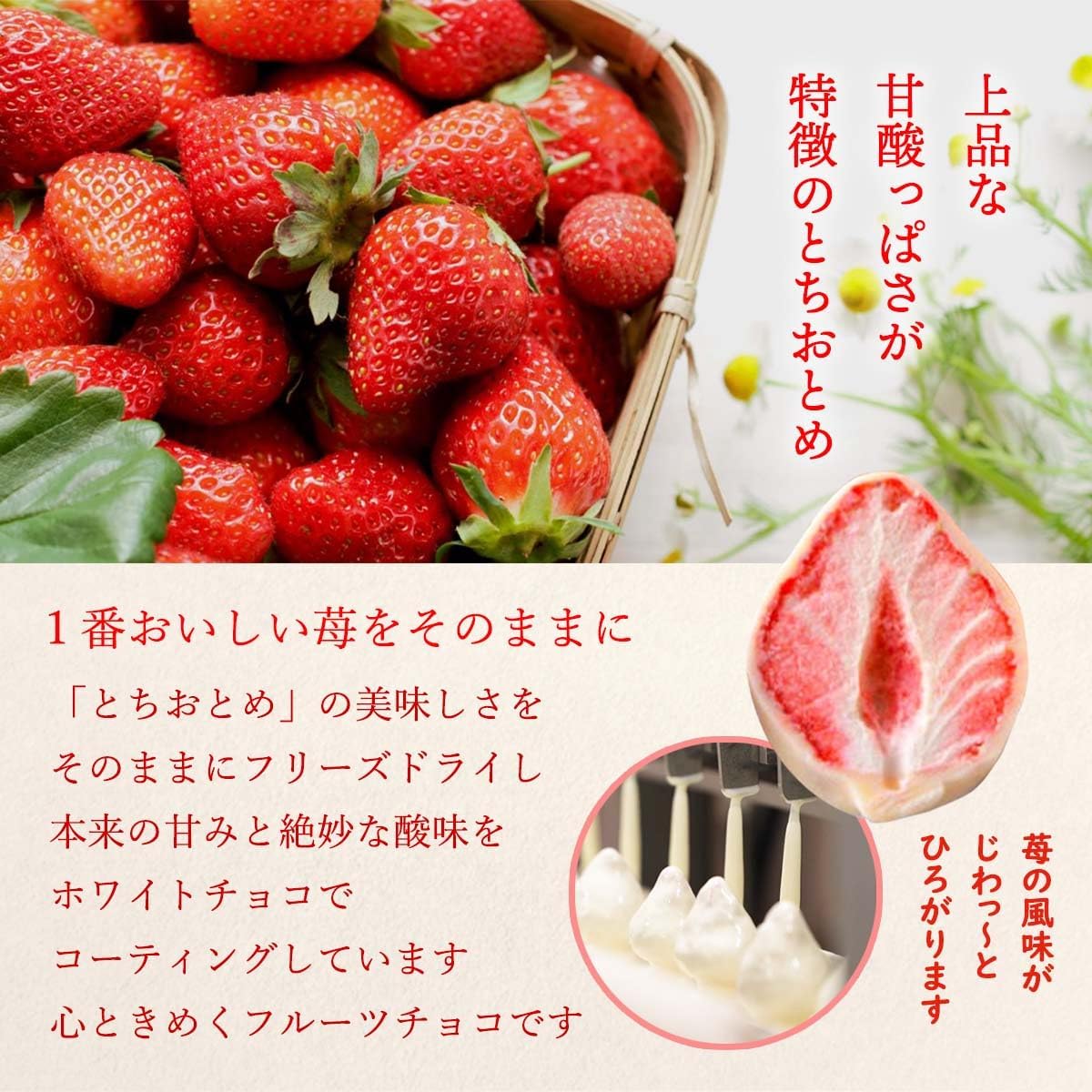 Shizuku Love Strawberries Red Box 10 Pieces in Red Box x 2