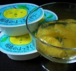 Yasaku Jelly with Pulp from Injima [2.8 oz (78 g) x 24 Packs]