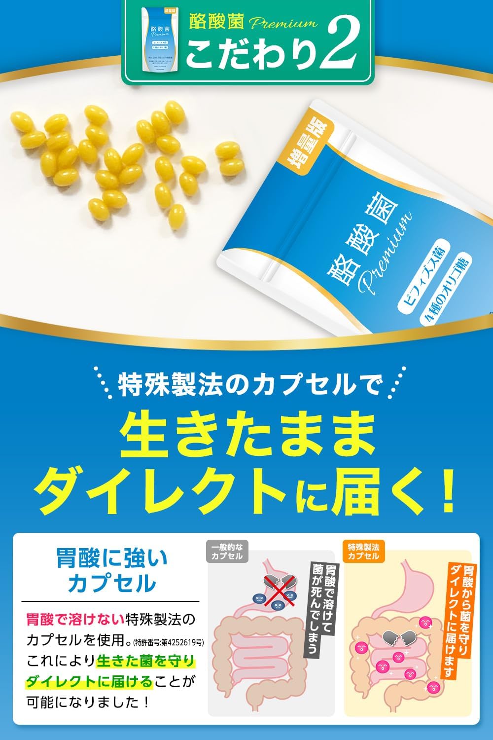 【Increased Version 120 Capsules】A-Gift Butyric Acid Bacteria Premium 24 Billion, 20 Million Per Capsule, Bifidobacterium, Short-Chain Fatty Acids, 30 to 120 Day Supply