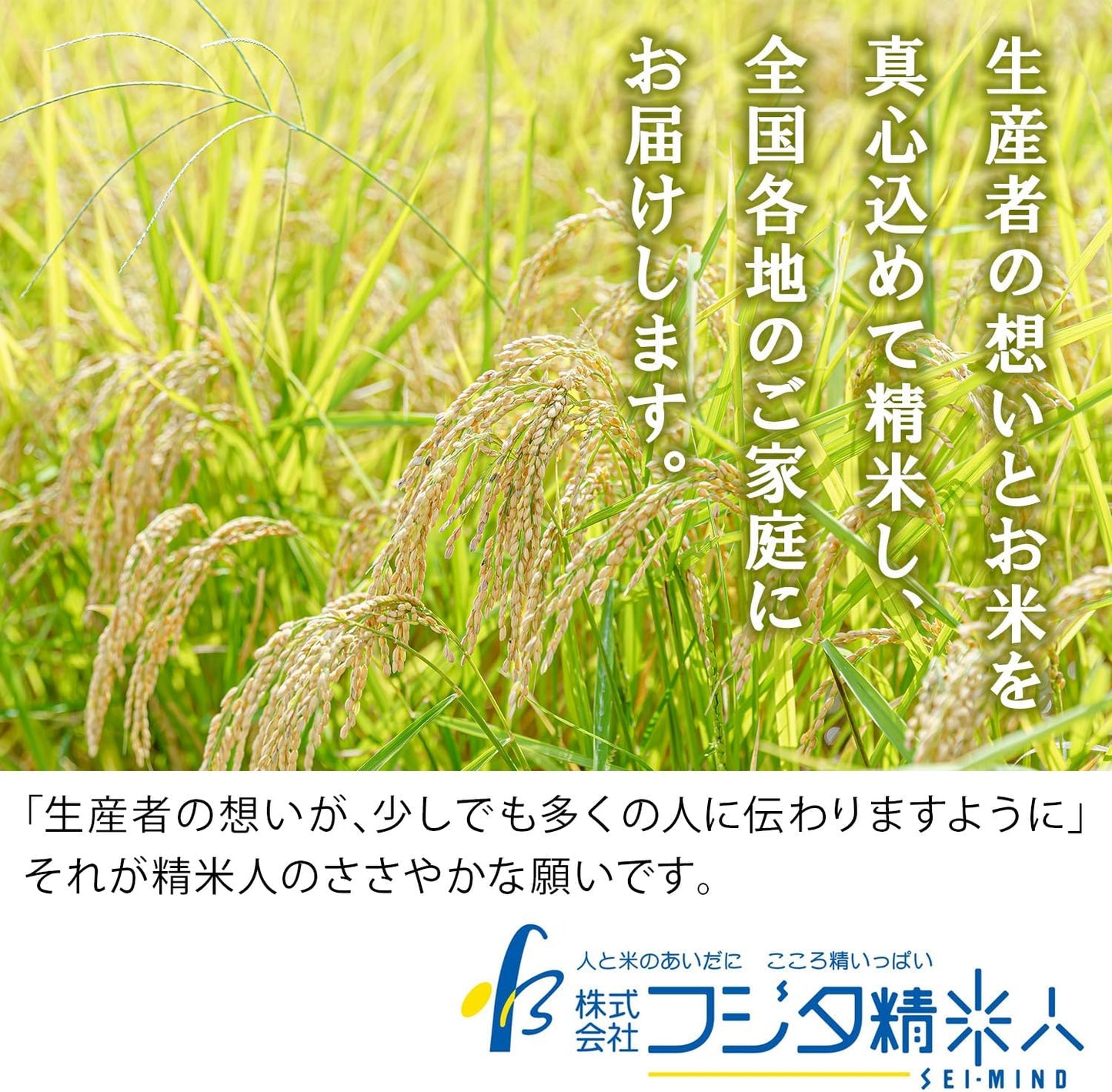 Hyogo Daori (Hyogo Prefecture Rice Blend), Polished Rice 22.0 lbs (10 kg), White Rice