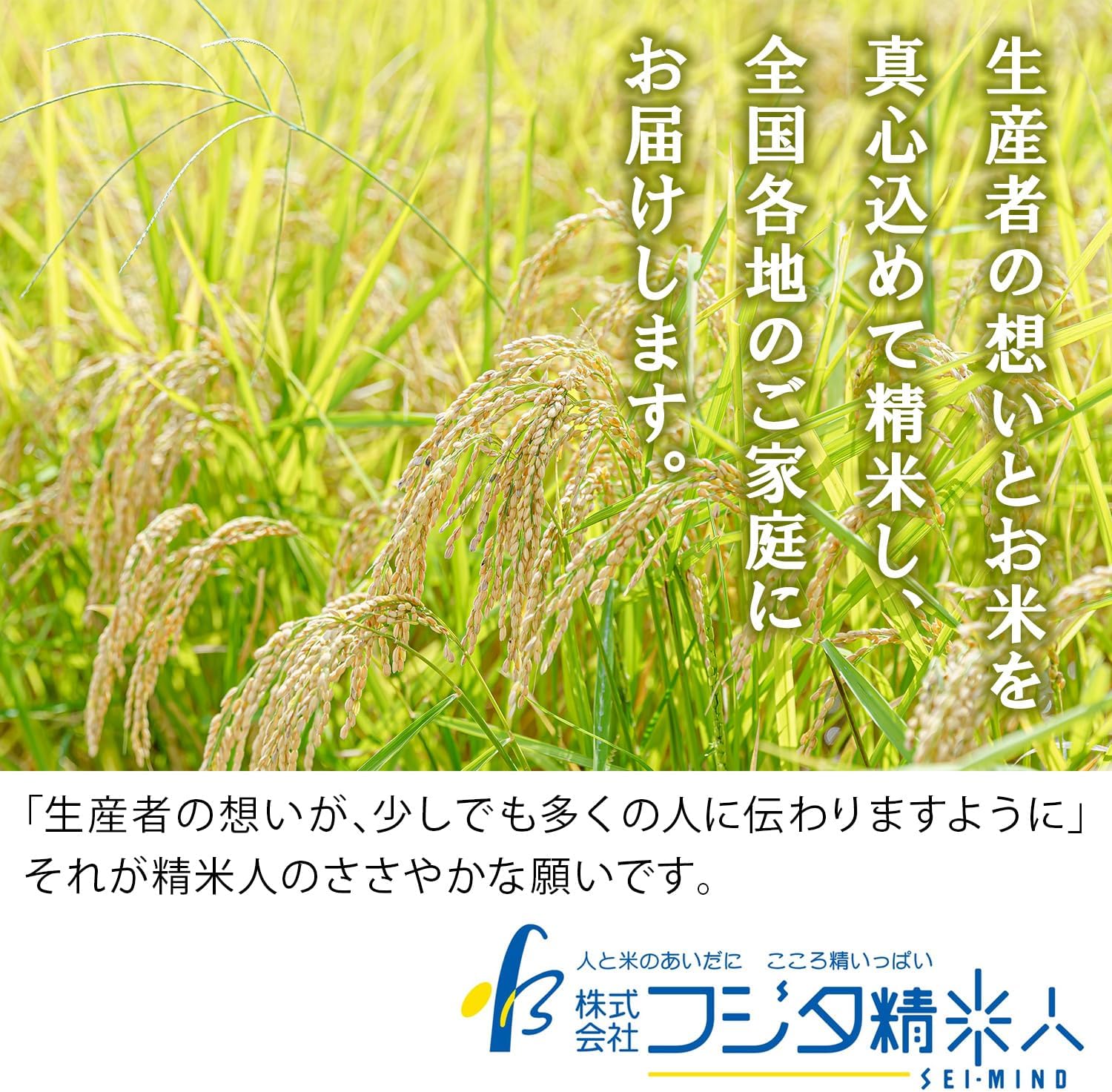 Hyogo Daori (Hyogo Prefecture Rice Blend), Polished Rice 22.0 lbs (10 kg), White Rice