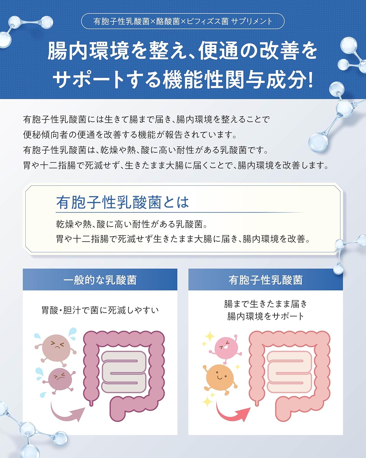【Improves bowel movements with live bacteria activity】 Bifiral Plus Lactic Acid Bacteria Supplement, 60-day supply, live bacteria that reach the intestine and improve intestinal environment, improves