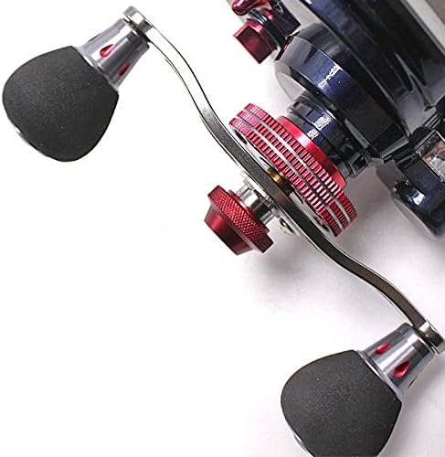 Wellvie Caset Fishing Raft Reel Loofah Fishing Octopus Squid 2.6:1 10BB Drop Single Shaft Reel for Raft Tie Reel with Level Winder (Red)