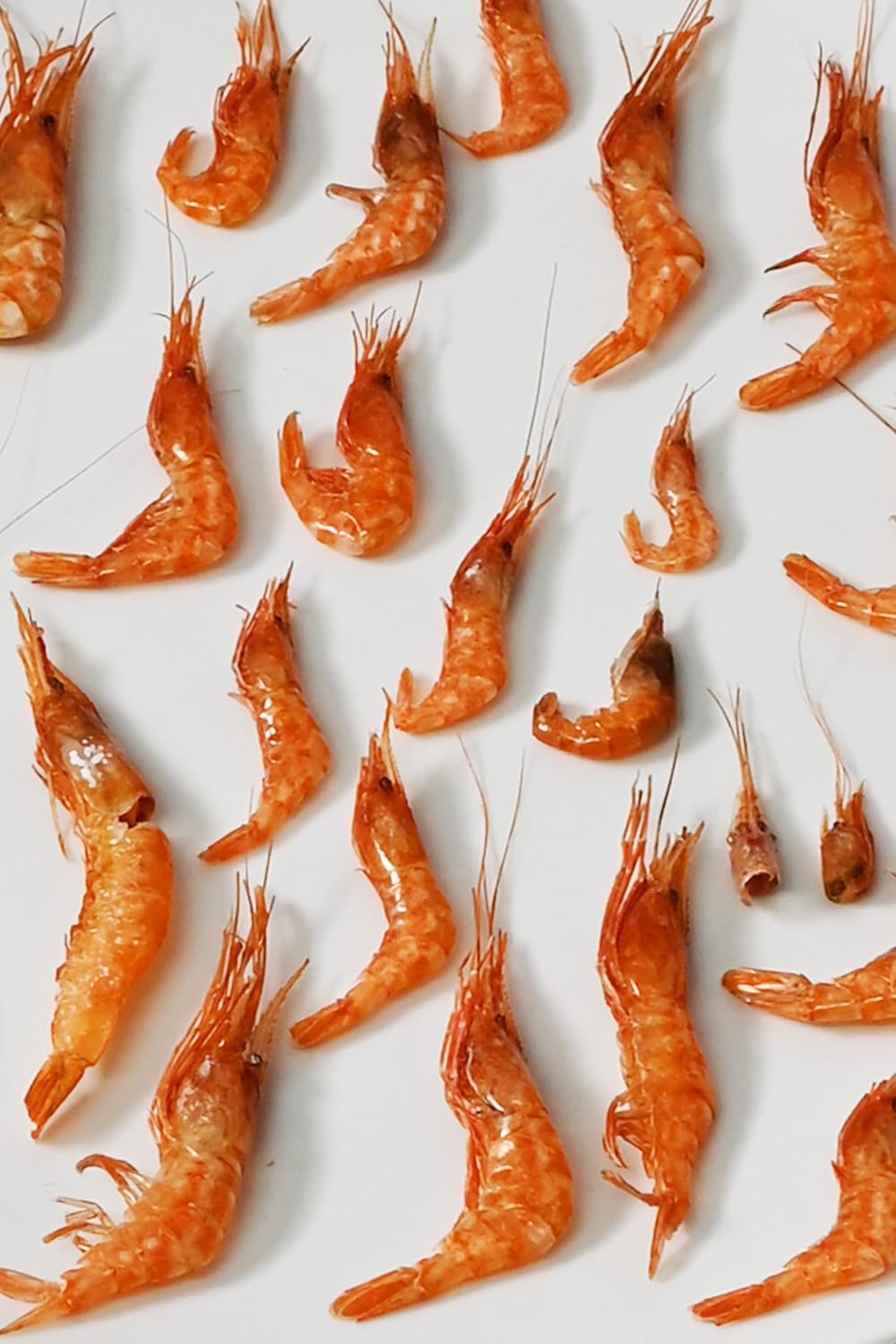 Tsumami-Kura: Air-Dried Shrimp 100g [No Additives, No Coloring, No Salt Dried Shrimp] Small Shrimp Food Delicacy Healthy Snack Eat When You Get Hungry Snacks Commercial Use Large Capacity (Crunchy