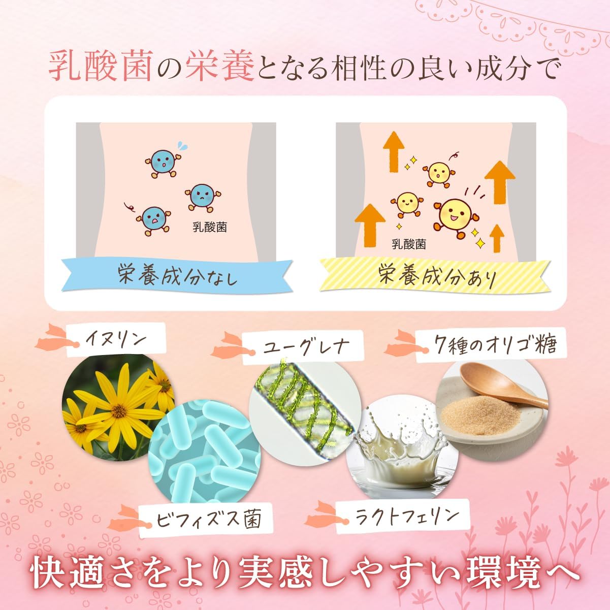 Delicate lactic acid bacteria supplement, Crystapus bacteria, Kirei wo Kanaeru Feminatura, 3 trillion counts, Triple Lactic Acid Bacteria, Bifidobacteria, Delicate, Femcare, High Blend, 7 Types of