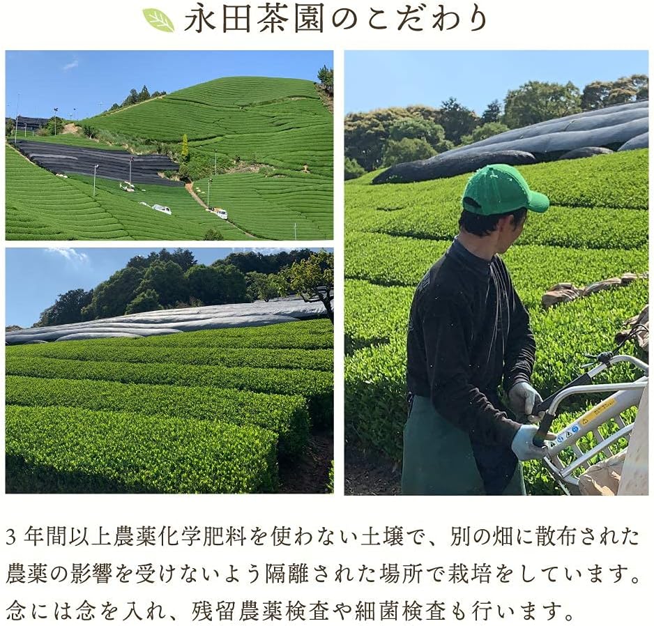 Brown Rice Tea with Matcha, 7.1 oz (200 g), Leaf Organic Tea, 100% Domestic Organic Tea, 50 Years Old, Nagata Tea Garden