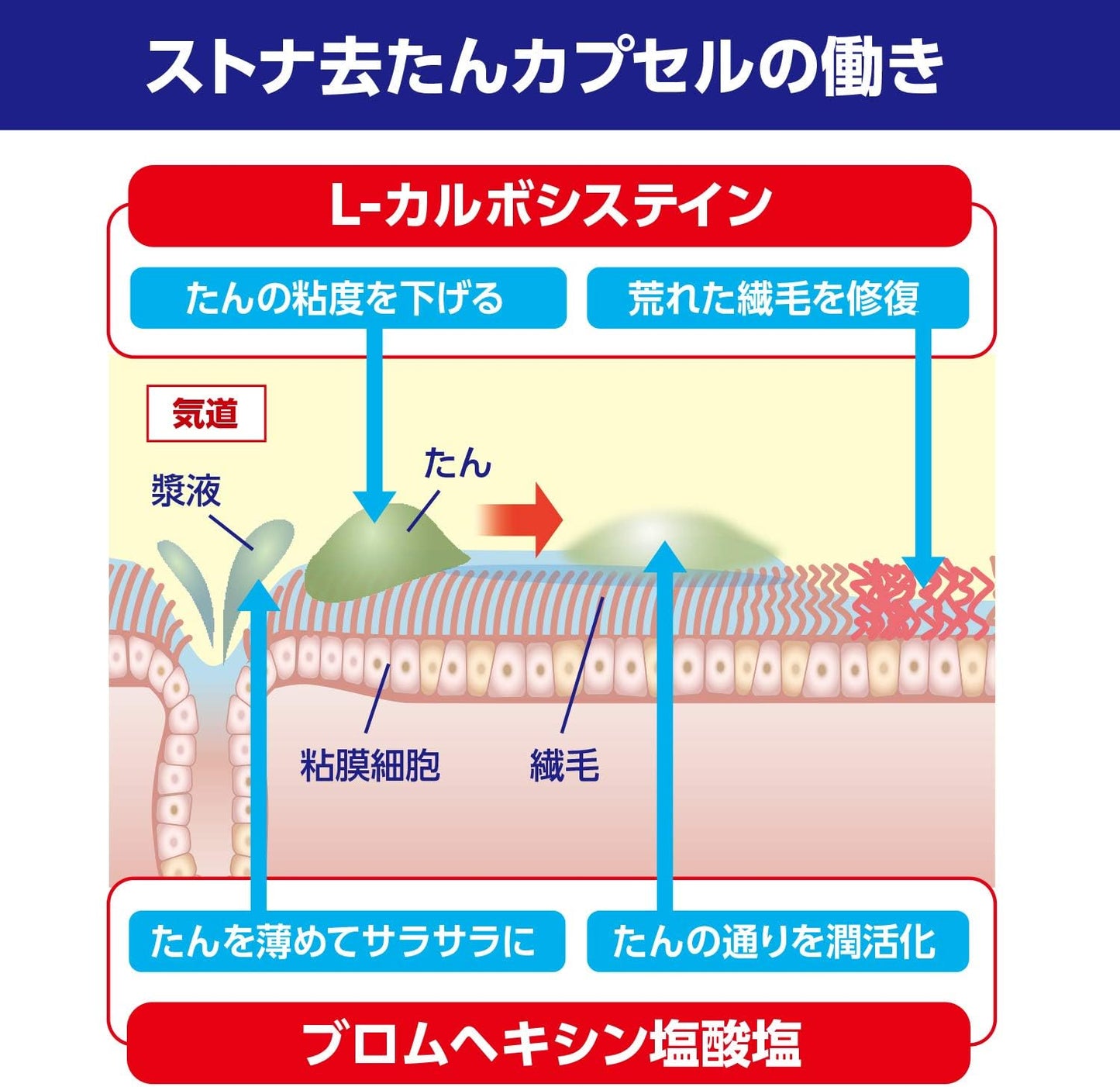 【第2類医薬品】ストナ去たんカプセル 36カプセル