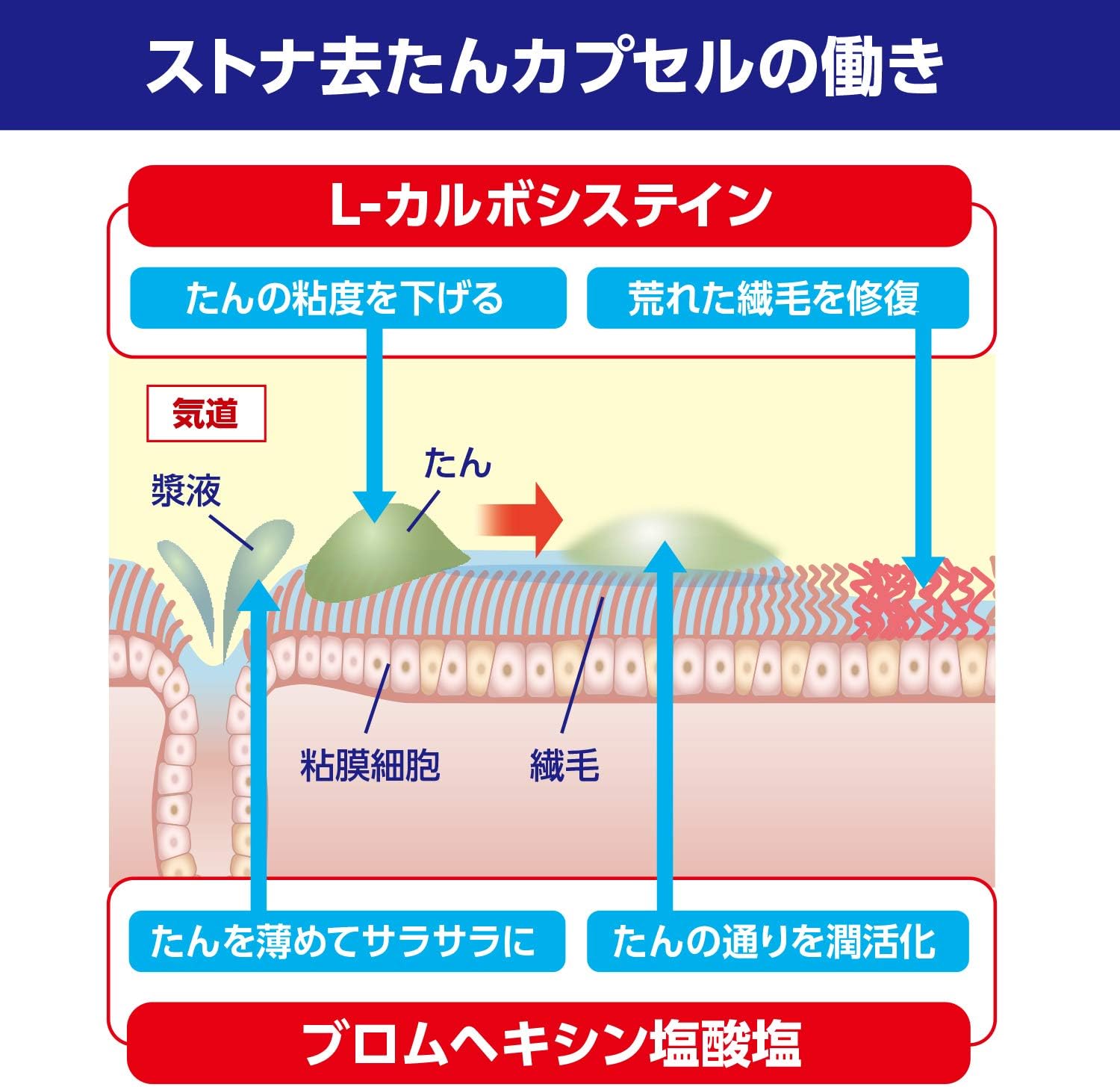 【第2類医薬品】ストナ去たんカプセル 36カプセル