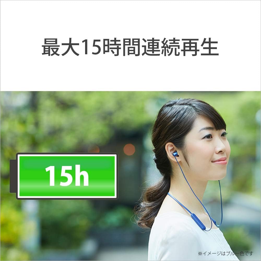 Sony WI-C310 BC Wireless Earphones, Bluetooth Compatible, Up to 15 Hours of Continuous Playback, Microphone Included, Flat Cable, 2019 Model, Black