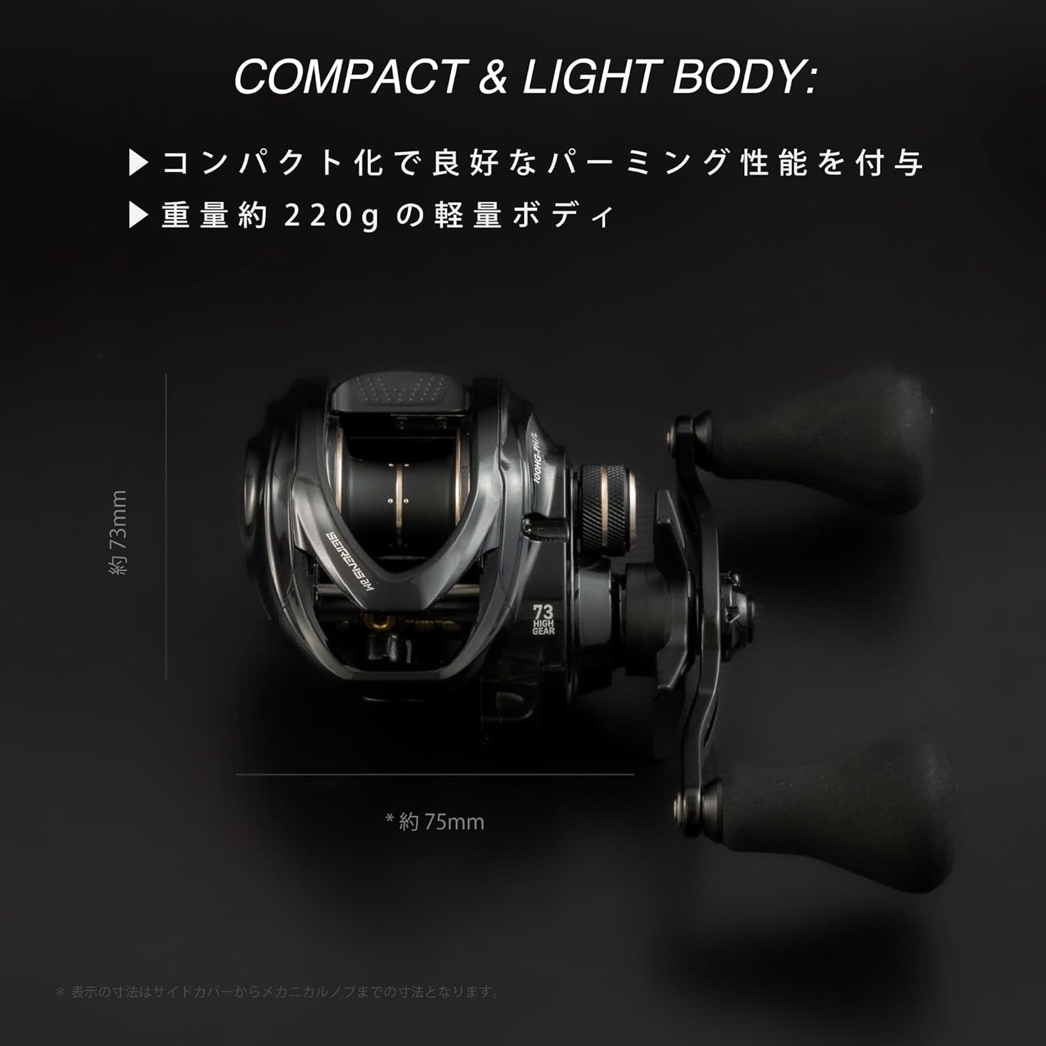 テイルウォーク (Tailwalk) 両軸リール セイレンス BM (SEIRENS Basic Model) オフショア 船 リール 各種