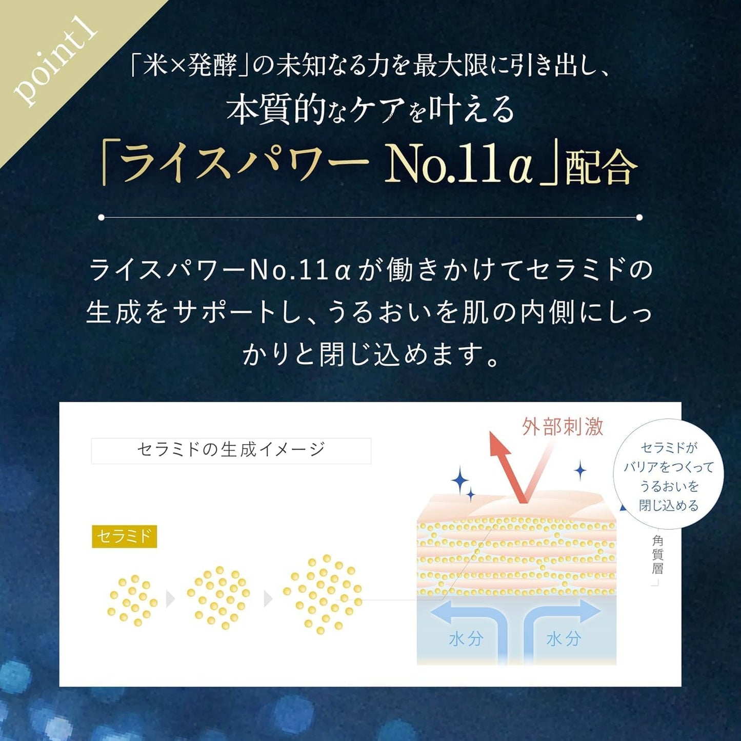 Riceforce Official Premium Perfect Cream (1.1 oz (30 g) / Approx. 2 Months Supply / Quasi Drug, Rice Power No.11α, Aging Care, Thick Moist Type, Highly Moisturizing, Rough Prevention (RICEFORCE)