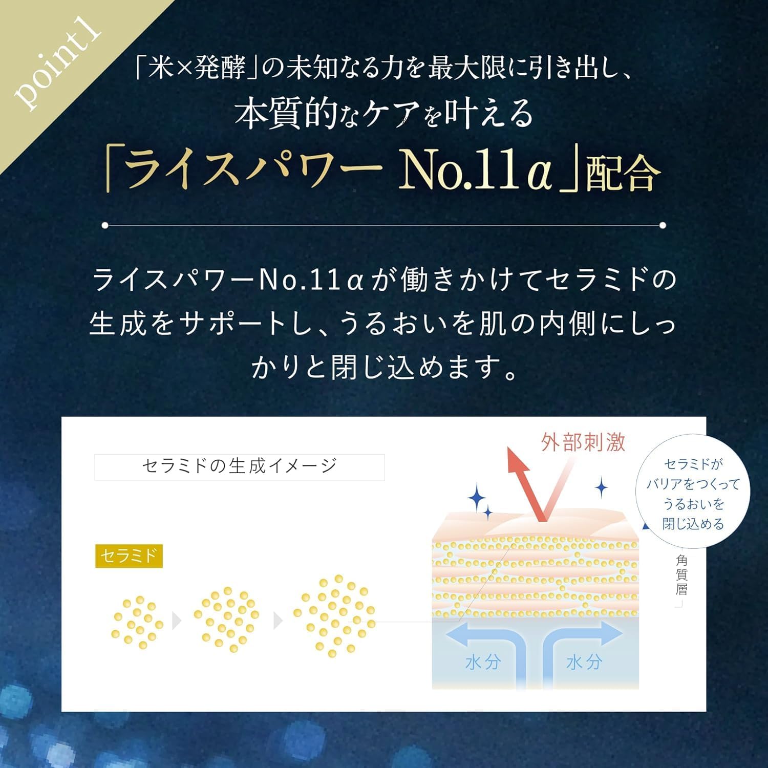 Riceforce Official Premium Perfect Cream (1.1 oz (30 g) / Approx. 2 Months Supply / Quasi Drug, Rice Power No.11α, Aging Care, Thick Moist Type, Highly Moisturizing, Rough Prevention (RICEFORCE)