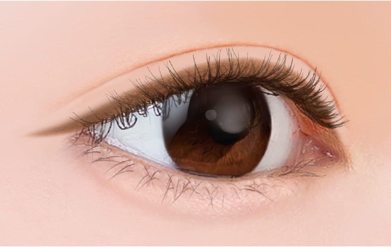 Excel Nuance Full Pencil Liner NP02 (Chocolate) Eyeliner