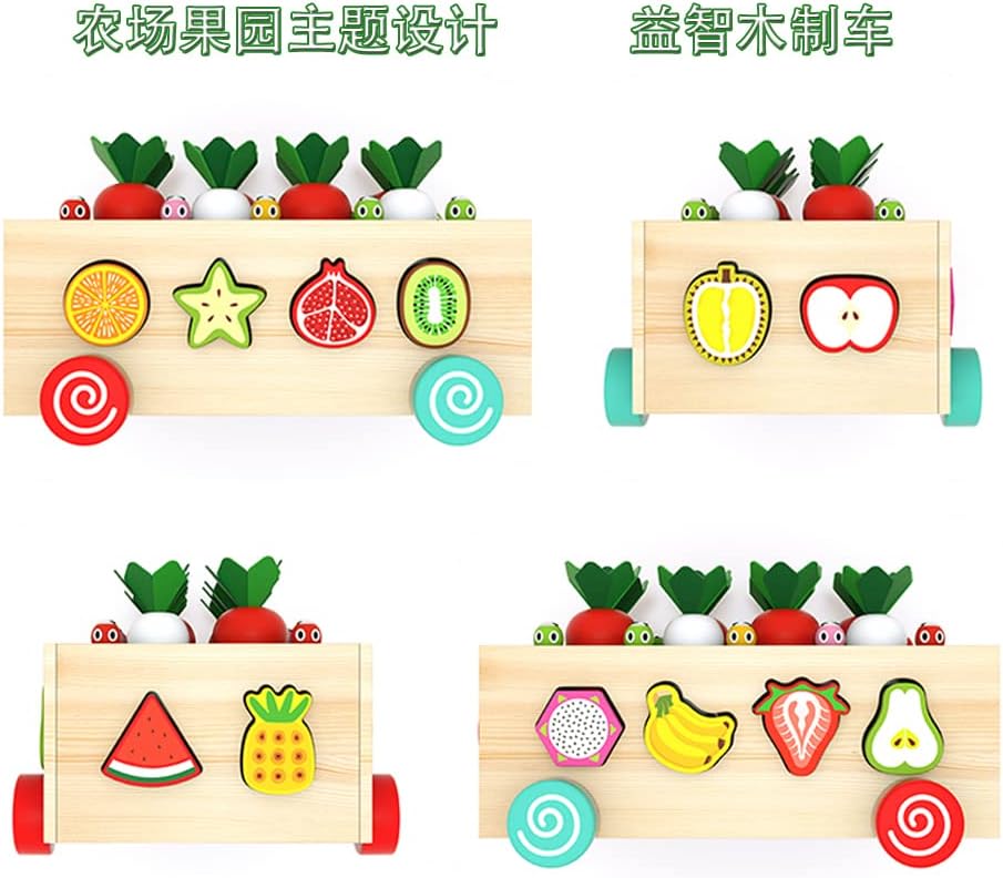Mokusou-sha Montessori Educational Toy, Shape Matching Wooden Toy, Fruit Recognition, Shape Insertion, Farm Carrot Pulling, Magnetic Bug Catching Game, Early Development, Fingertip Training, Birthday
