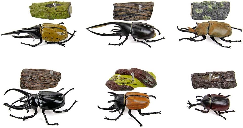 カロラータ 立体図鑑 カブトムシ フィギュア (6種 / 解説書付き) リアル おもちゃ (知育玩具) 誕生日 ギフト プレゼント (食品衛生法クリア) ライナセラスビートル/リアルフィギュアボックス 模型/クリスマス クリスマスプレゼント