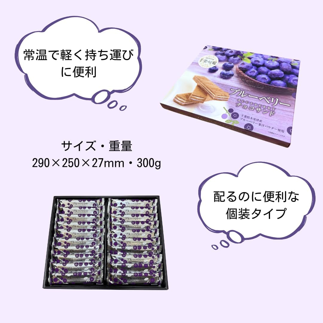 Chiba Souvenir "Blueberry Chocolate Sand", Pack of 20, Uses Blueberries from Chiba Prefecture, Souvenir, Sweets