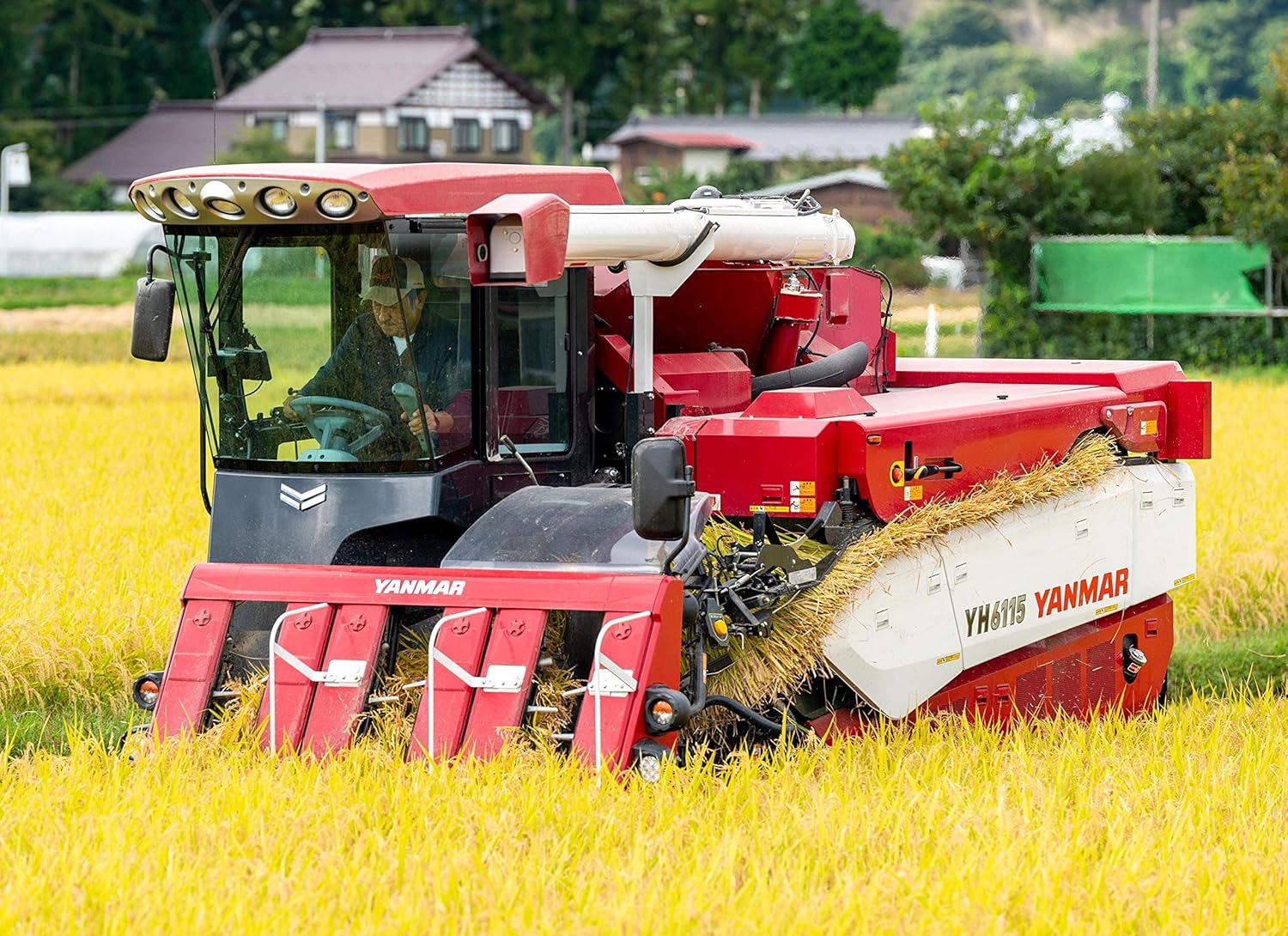 New Rice [Polished Rice] Reiwa 7th Year Production Miyagi Ichihara-Produced Limited Rice Hitomebore 5kg