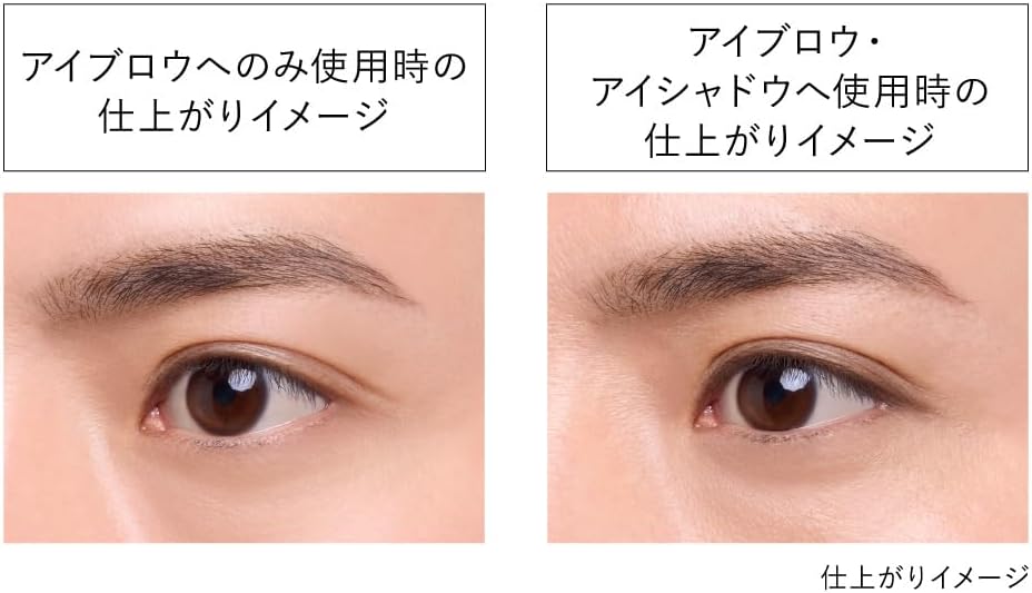 KANEBO Eye Shade Gradient EG1 [Eyebrow] Cool Brown