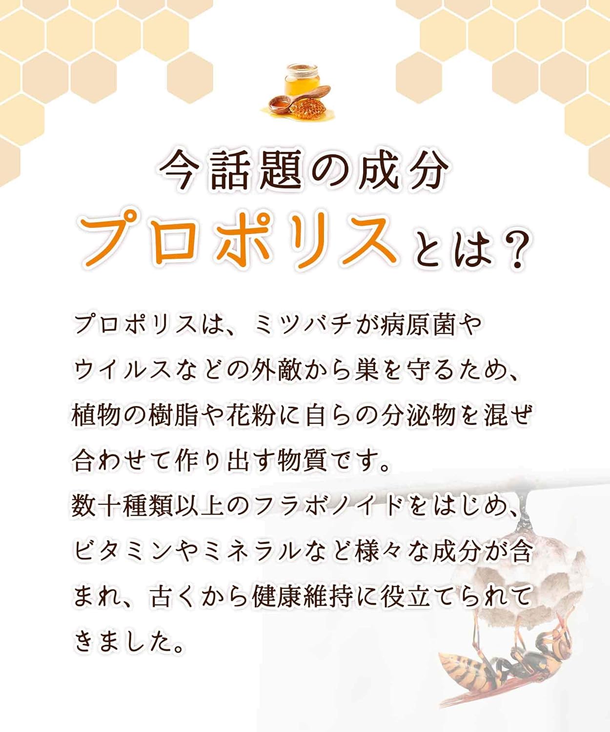 Propolis (Propolis Extract) Formulated with 600 mg, Firmly 30 Day Supply, Health Supplement, All Sanserite Supplements are manufactured in a GMP-certified factory in Japan, so you can rest assured