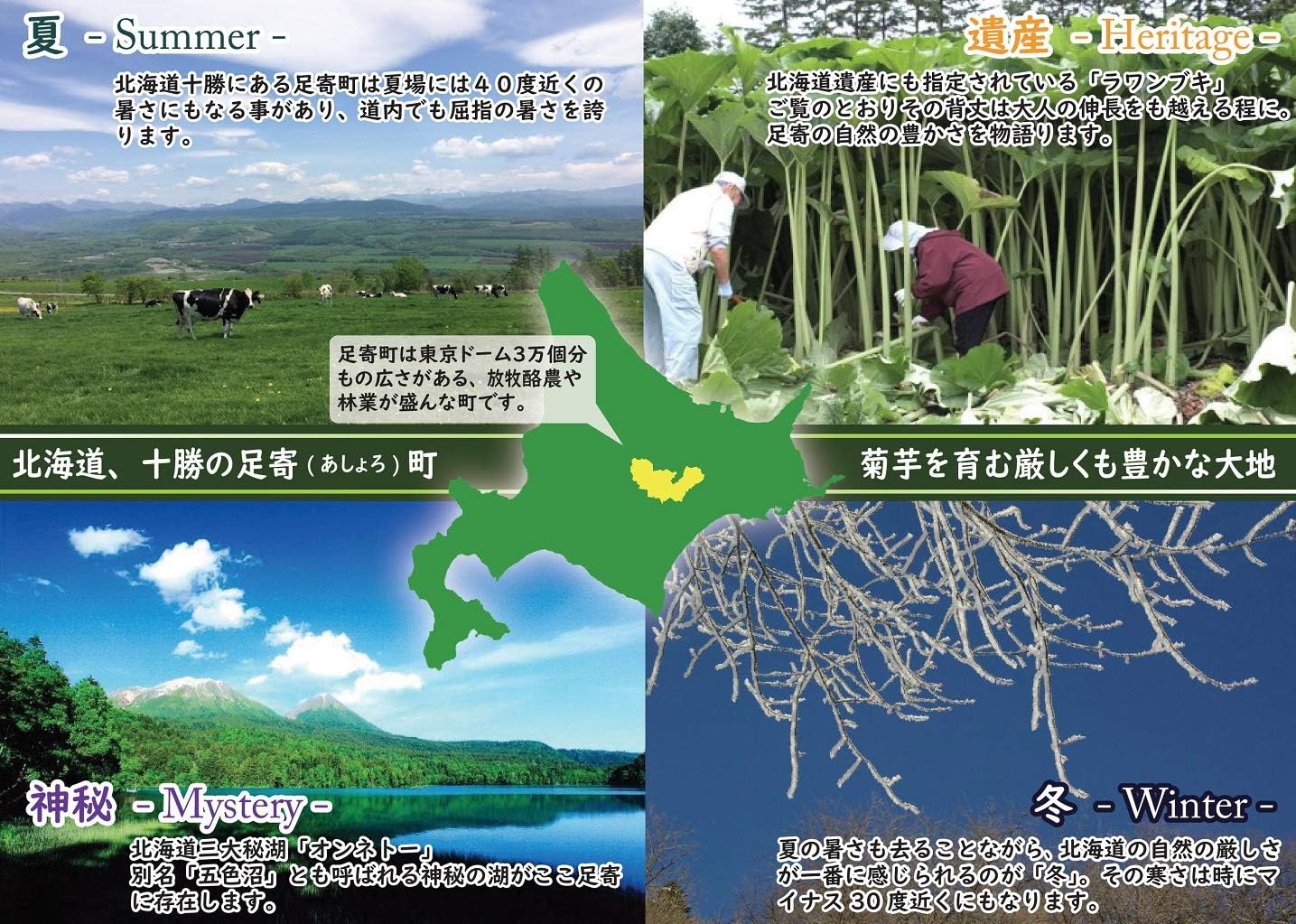 60 Hokkaido Aronia Tablets, Contains 235 mg of Aronia Extract Powder, Alonia Supplement, Anthocyanin