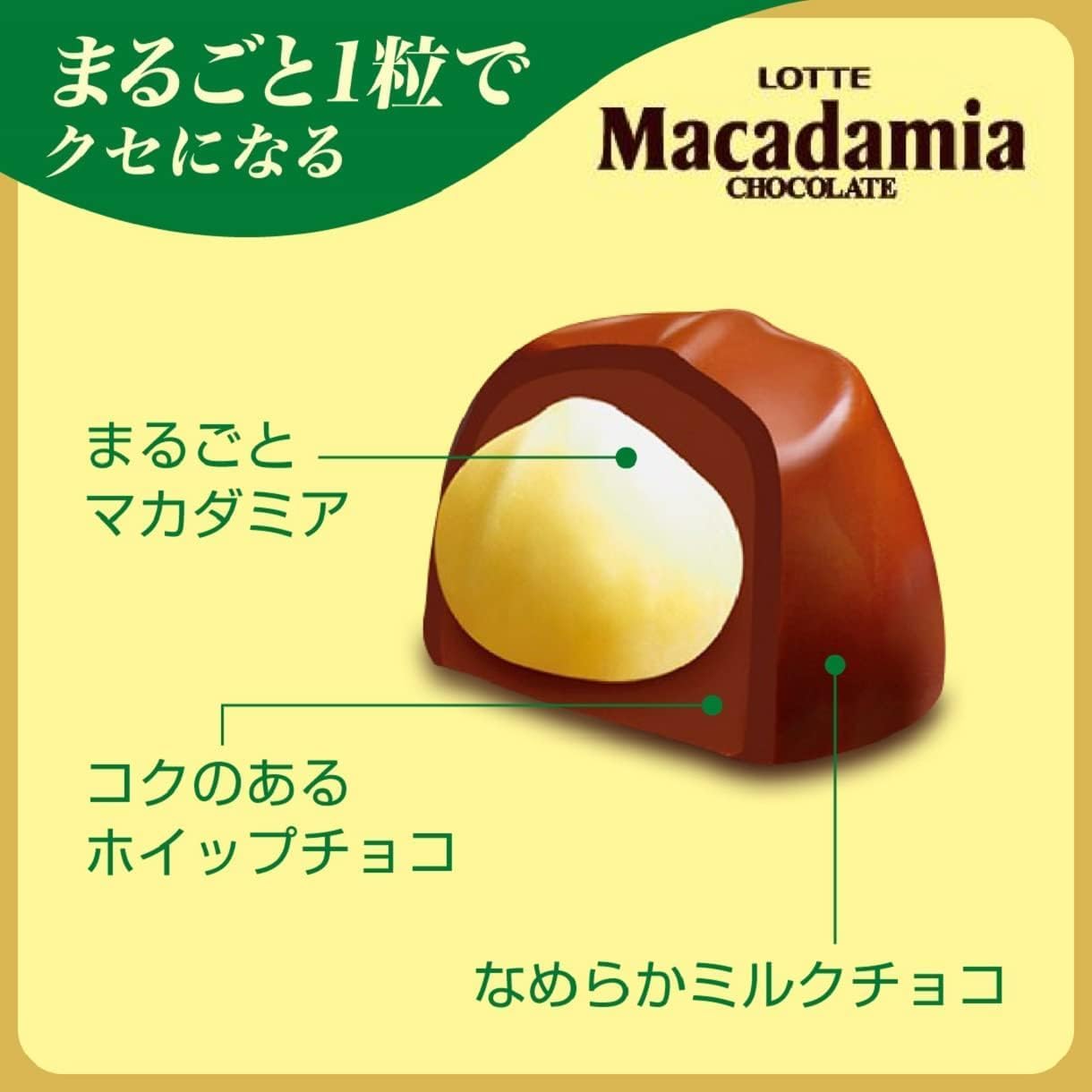 Lotte Macadamia Chocolate 1 Box (9 Tablets)