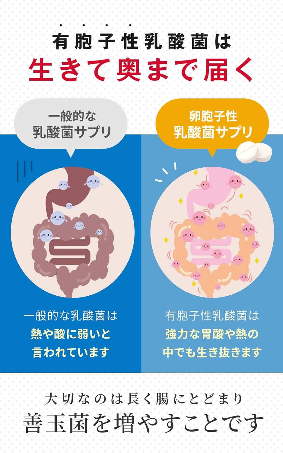【Specified Medical Device】Lactron Tablets 180 Tablets/30 Days Supply Meiji Pharmaceutical Live Lactobacillus for Intestinal Health, Stomach Activity, Supplement for Indigestion, Loss of Appetite