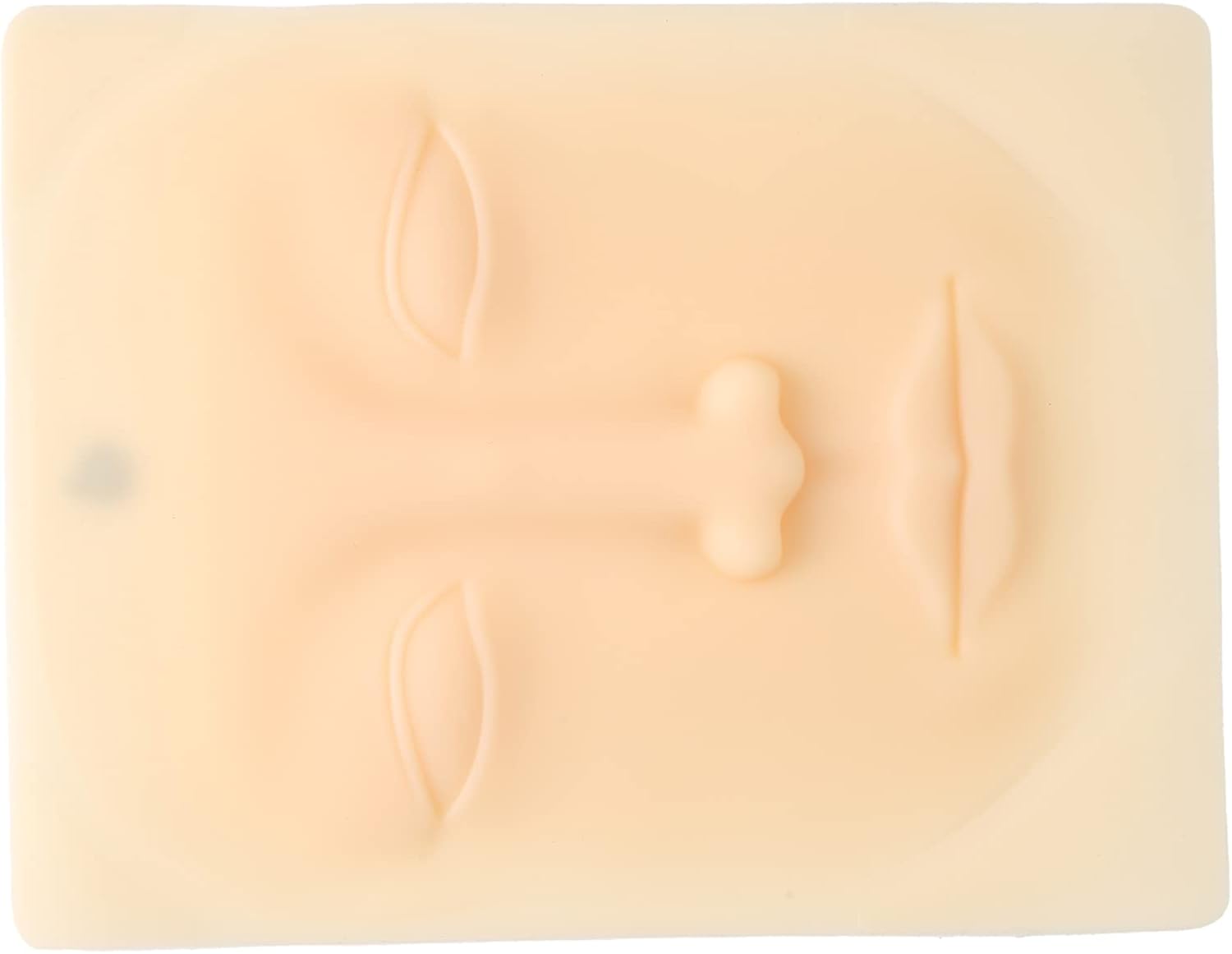 Permanent Makeup Practice Skin, Washable Reusable 4D Facial Tattoo Training Skin for Eyebrow Eyeliner Lip