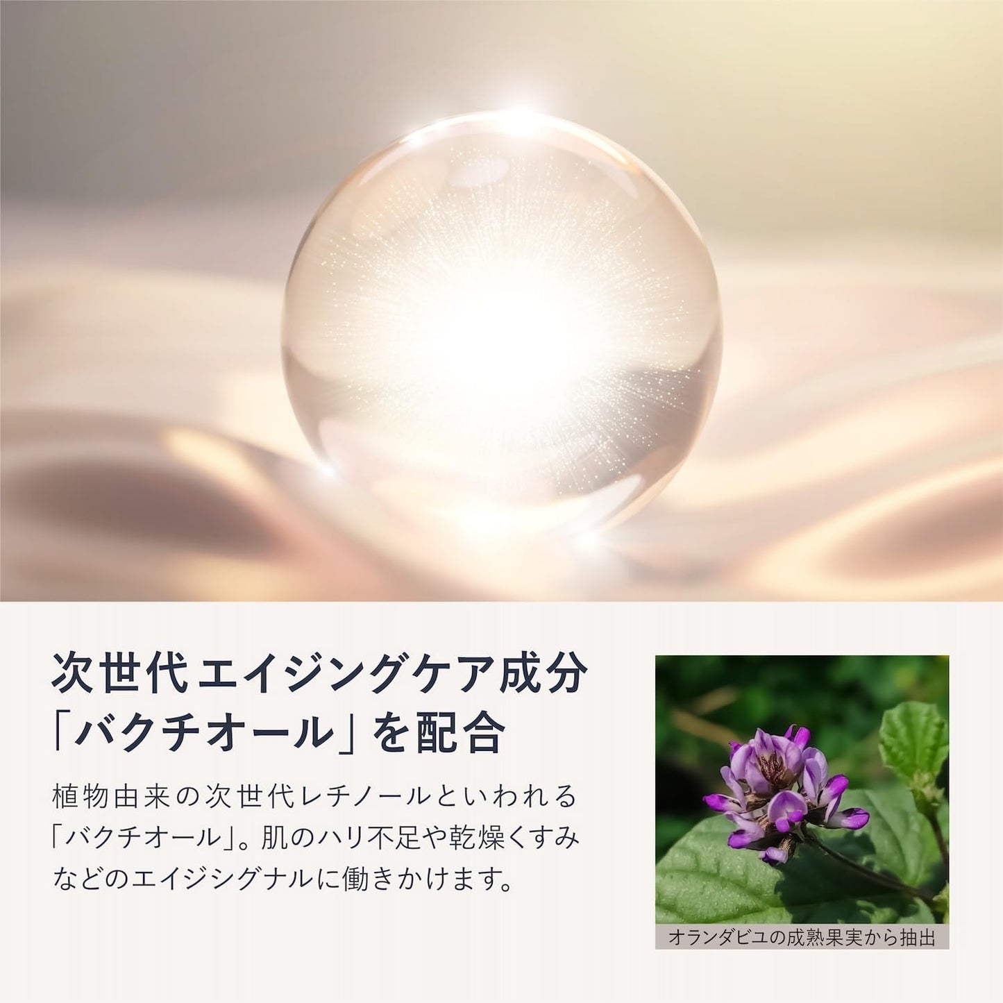 [Renewed October 2024] Quattro Botanico Men's Lotion, All-in-One Botanical Lotion & Aftershave, Moisturizing, Milky Lotion, Serum, Shaving, Rough Skincare, Men's Cosmetics, Made in Japan, 5.3 fl oz