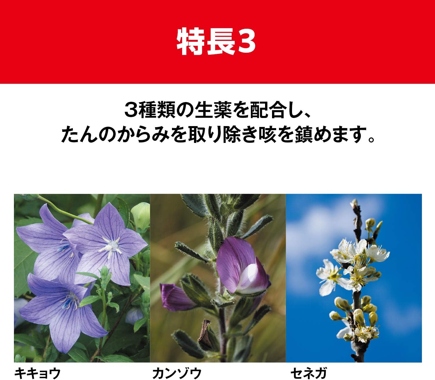 【第1類医薬品】ミルコデ錠A 24錠