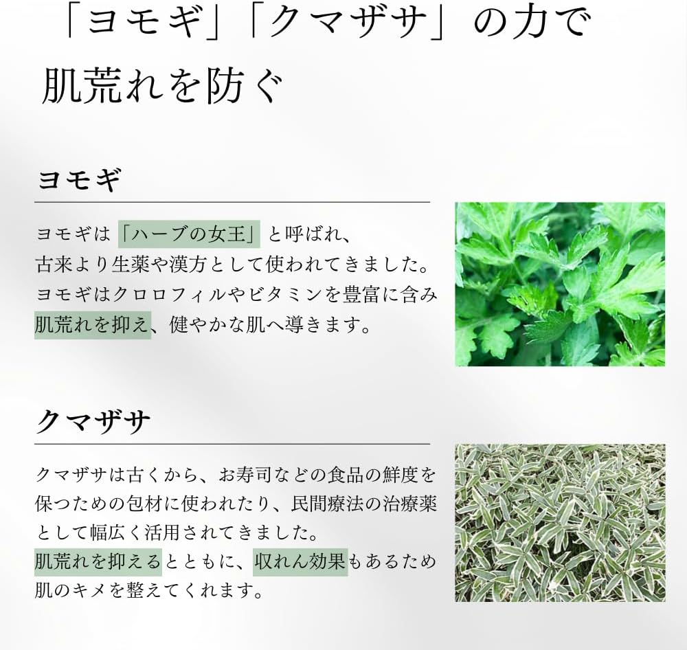 福美水 FUKUBISUI 化粧水 500ml | 大容量 ポンプタイプ 敏感肌 乾燥肌 肌荒れ 低刺激 保湿 うるおい スキンケア 全身用 アルコールフリー 無添加 無香料 無着色 ヨモギ クマザサ シラカバ