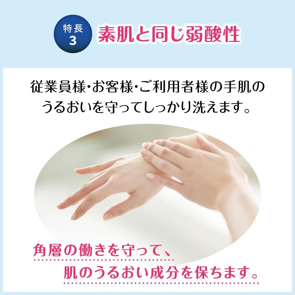 Kao Pro Series Bioreu Foaming Hand Soap, 1.8 gal (4 L), Commercial Use, Mild Citrus Scent, Kao Professional Service
