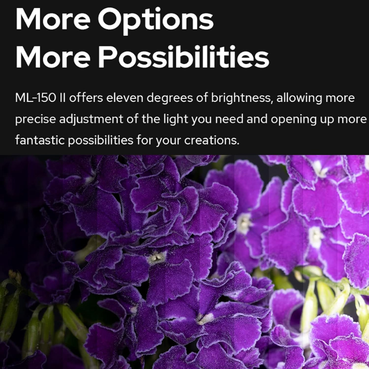 Godox ML-150II Macro LED Ring Flash Speedlite GN12 0.1-2s Recycle Time 5800K±200K for Sony Canon Nikon Fuji Olympus Panasonic DSLR Camera Video Production Animal and Fauna Photography