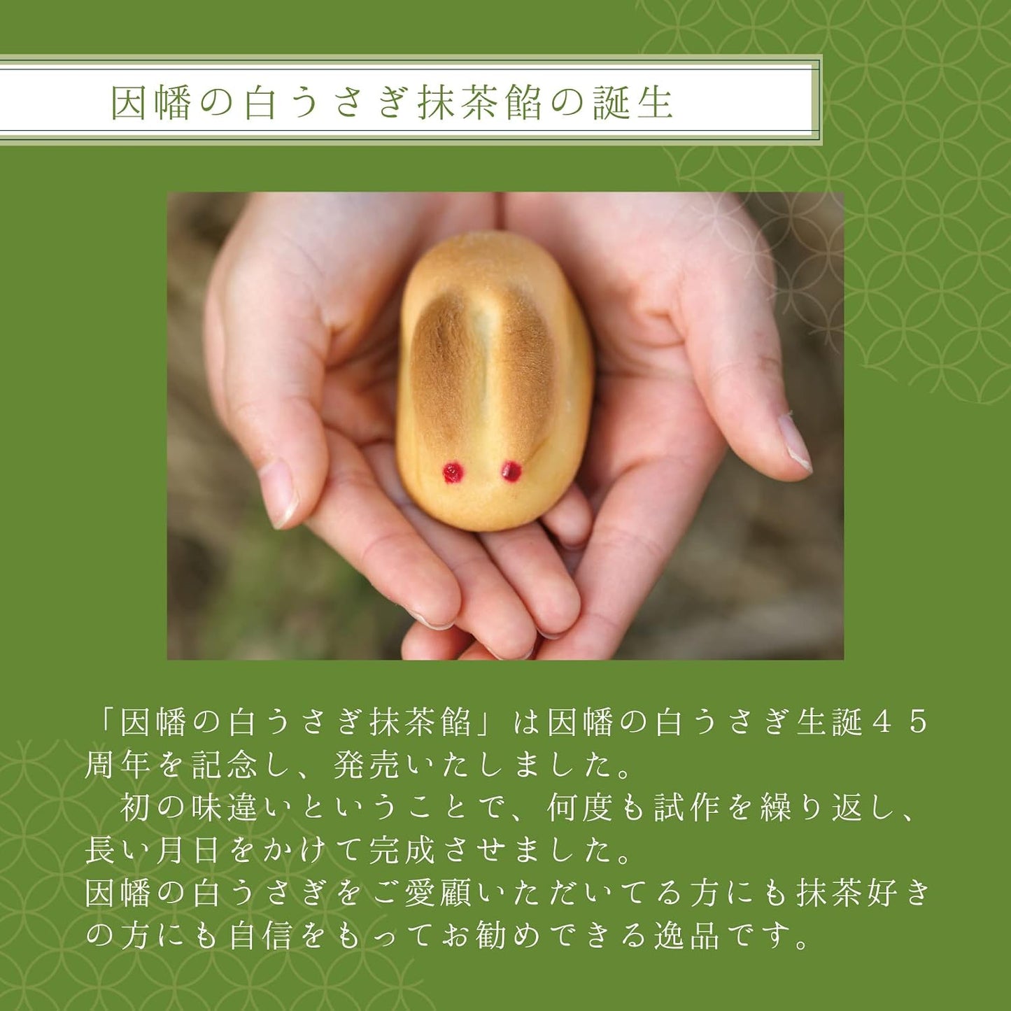Year-end Gift Kotobuki Confectionery White Rabbit of Inaba [Matcha Bean Paste] (5-piece pack) Tottori Souvenir Manju Japanese Sweets Retirement Farewell Sweets Petit Gift