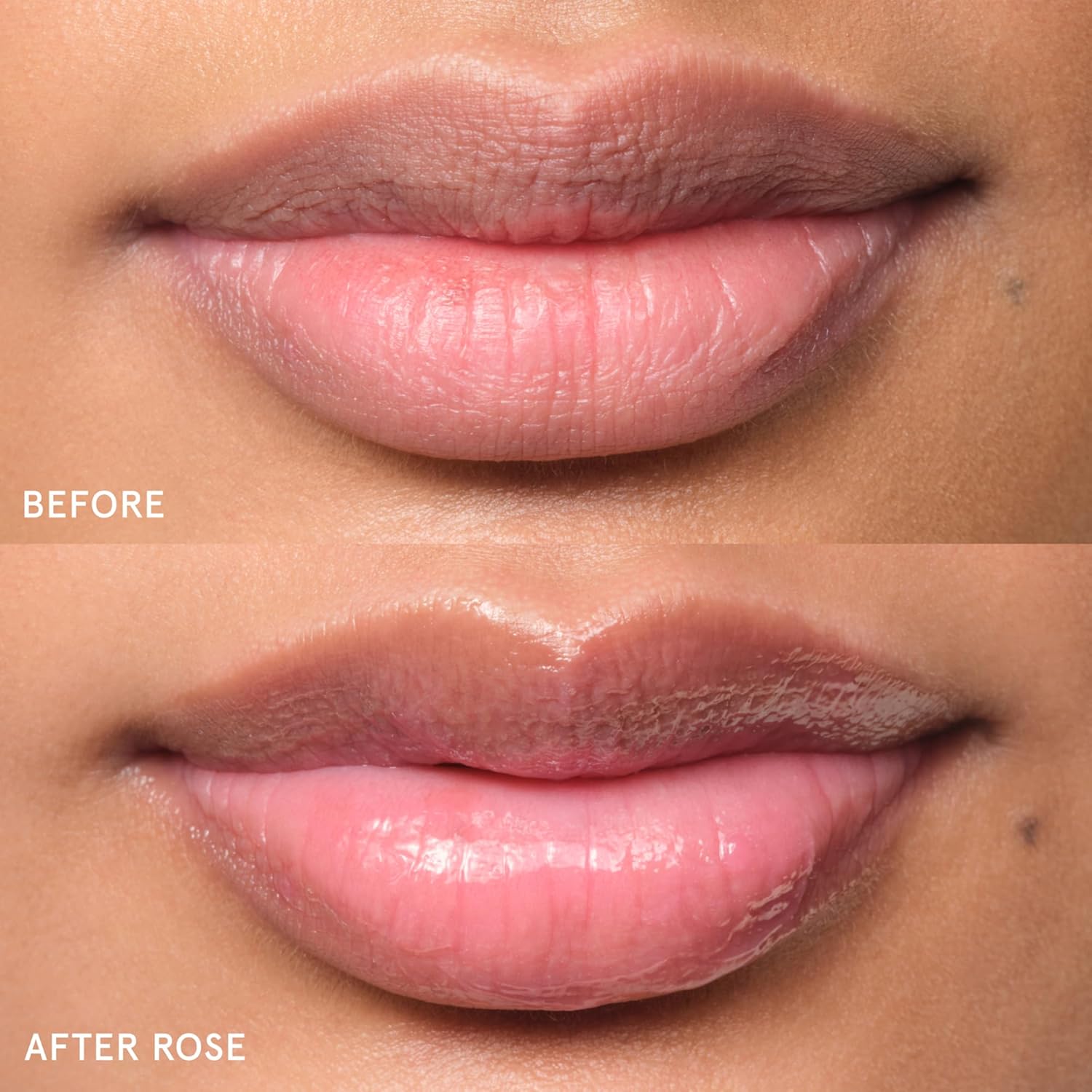 Glossier Balm Dotcom Hydrating Tinted Lip Balm - Universal Salve, Up to 12Hr Moisture for Dry Lips, Cuticles & Skin - Lanolin, Beeswax & Castor Oil - Rose, Pink Tint, 15ml