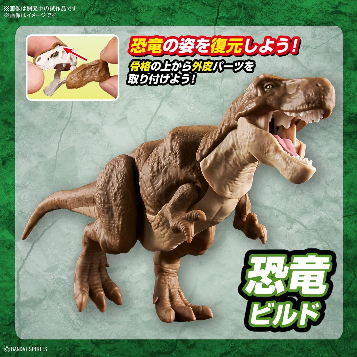 Bandai Spirits Planosaurus Tyrannosaurus Color Coded Plastic Model