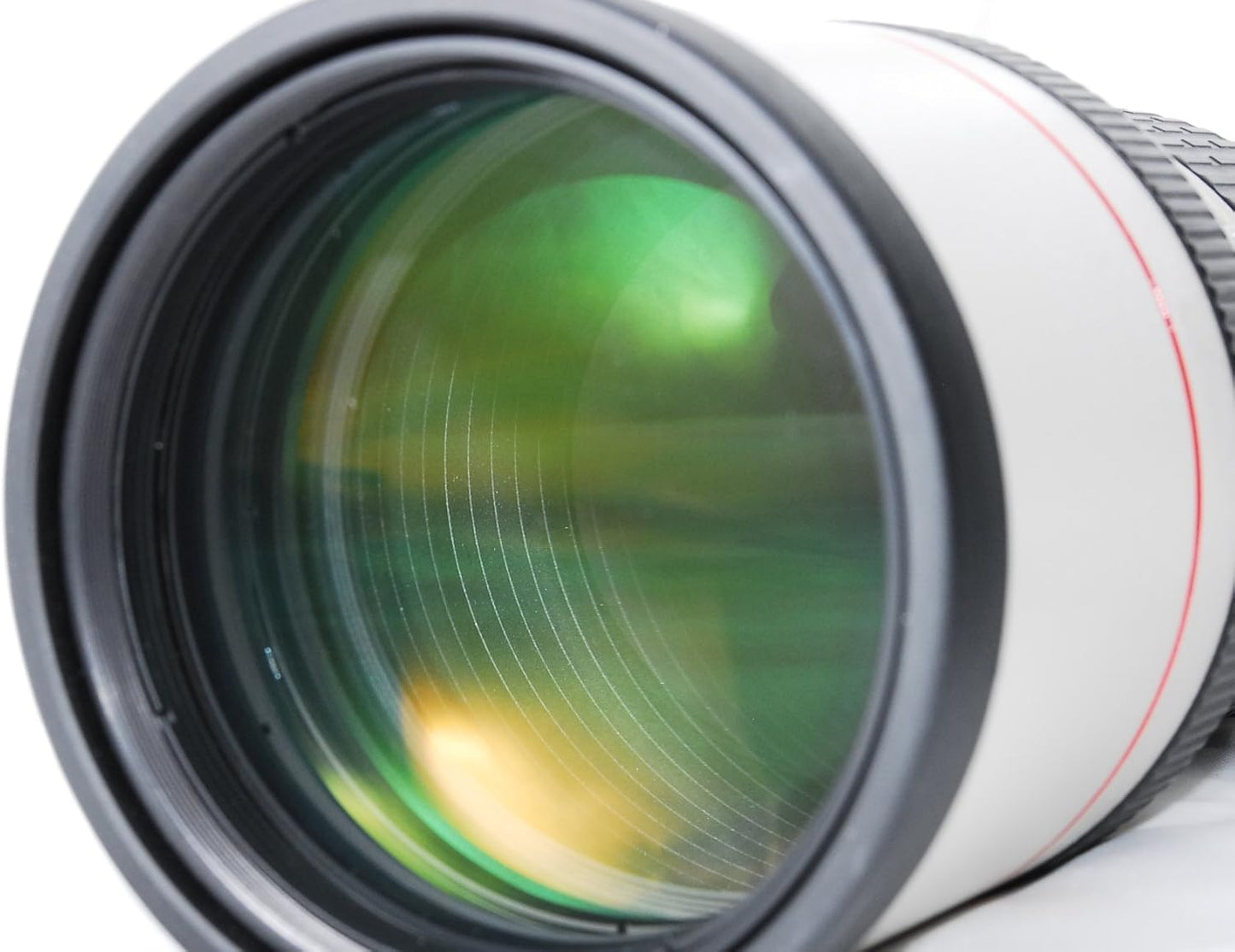 Canon EF 300 mm F4 L USM