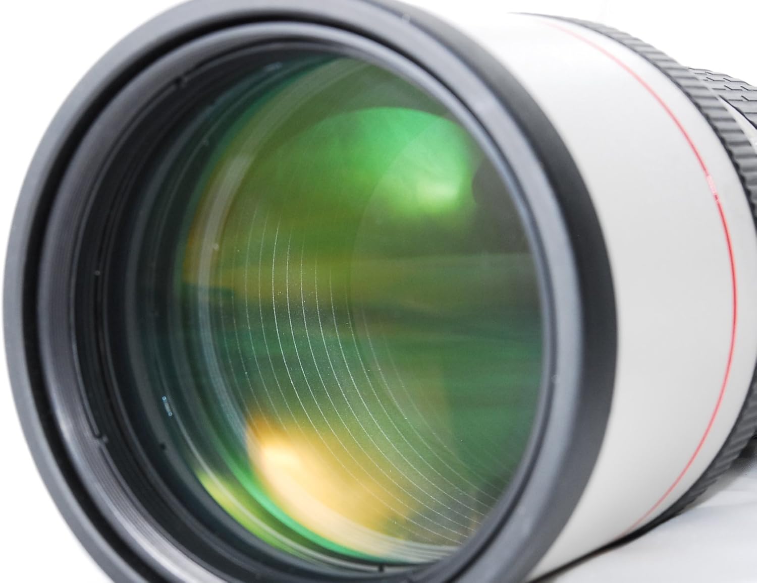 Canon EF 300 mm F4 L USM
