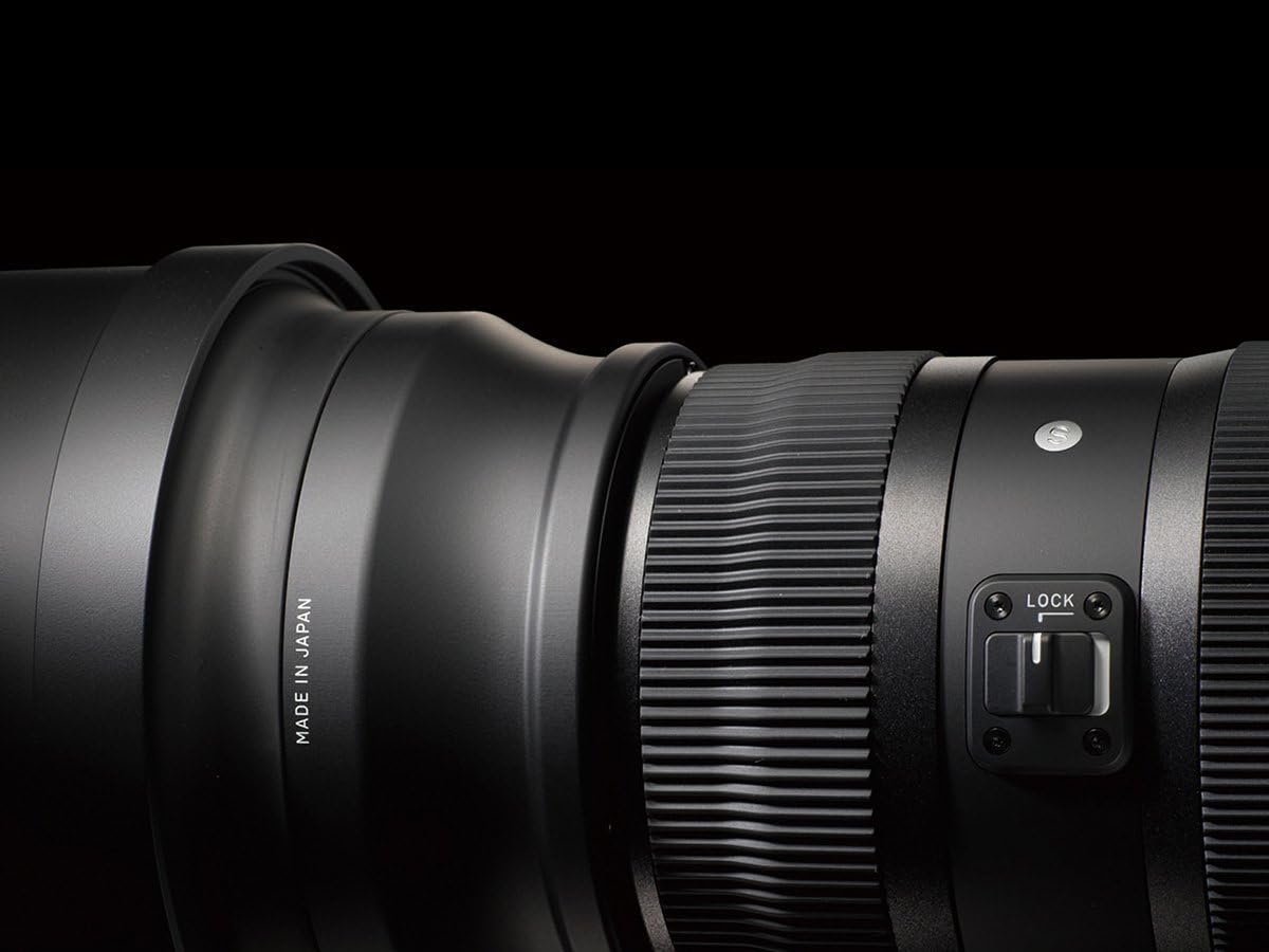 Sigma 150-600mm F5-6.3 S DG OS HSM