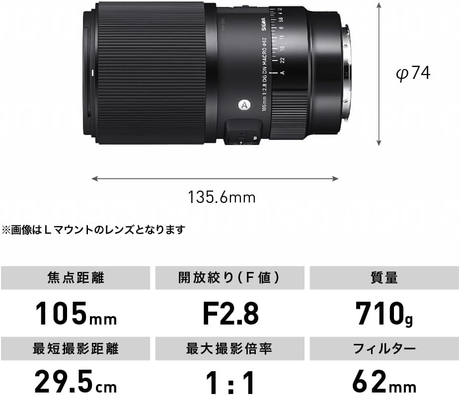 Sigma Sony E-Mount Lens 105mm F2.8 DG DN MACRO Monofocal Telephoto Full Size for Art Mirrorless