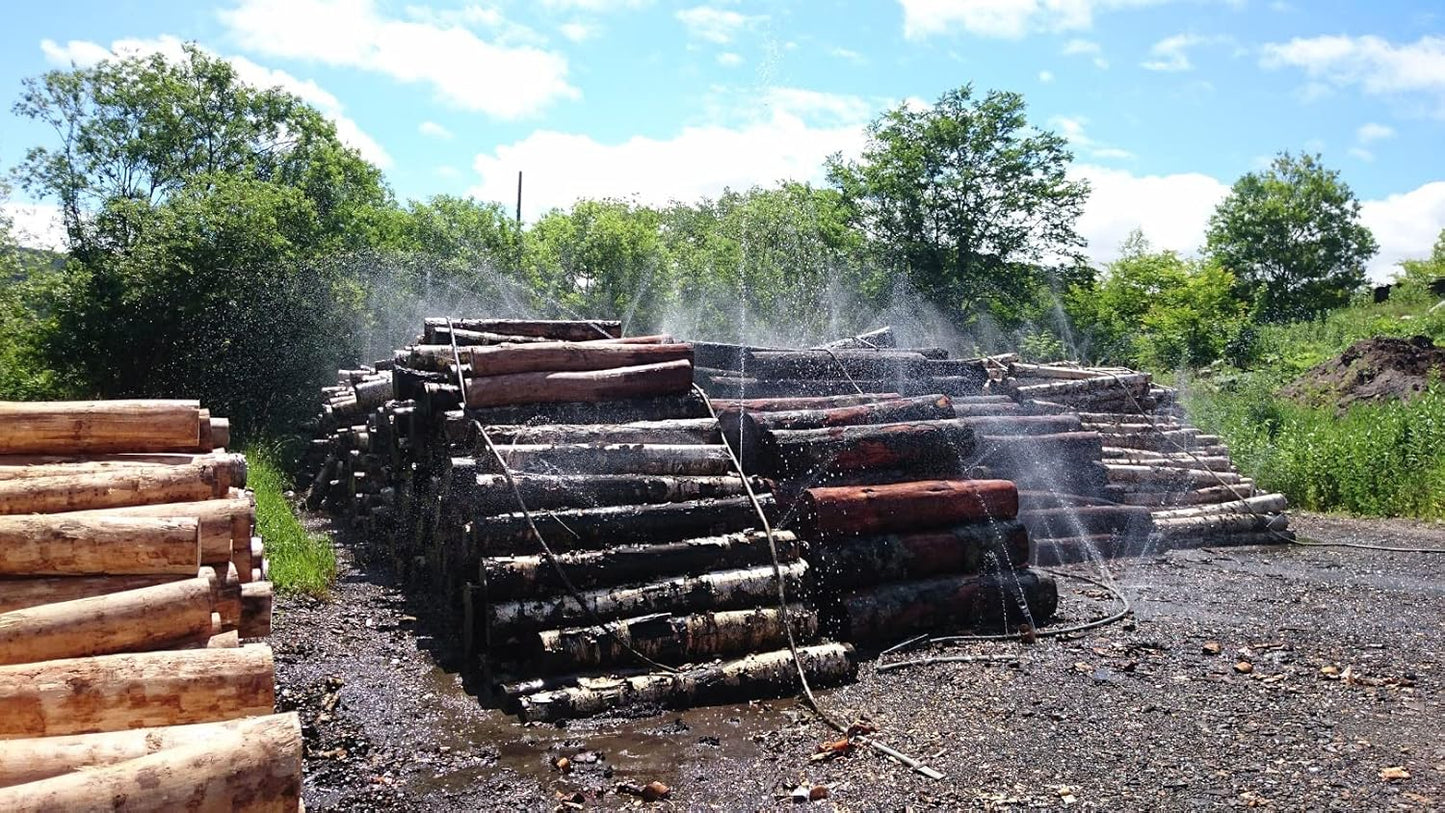 Kikusui Japanese Shirakaba Toothpicks, Approx. 300 Pieces (Groove)